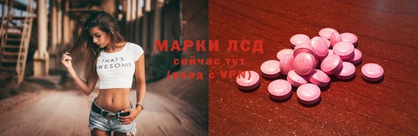 прущие грибы Нефтекумск