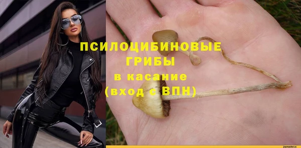 индика Наволоки
