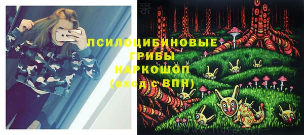 гашик Надым