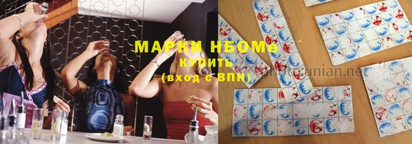индика Наволоки