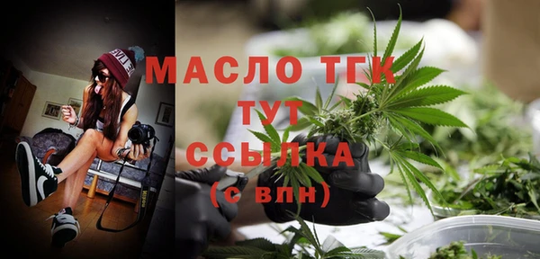 гашик Надым