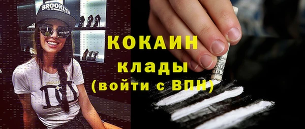 гашик Надым