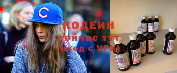 индика Наволоки