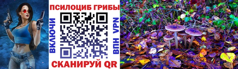 Купить закладки Дятьково Псилоцибиновые грибы Magic Shrooms